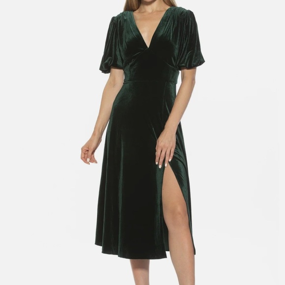 ALEXIA ADMOR Nola V-Neck Puff Sleeve Fit & Flare Drees Deep Green Size 8 Unlined - Picture 14 of 15